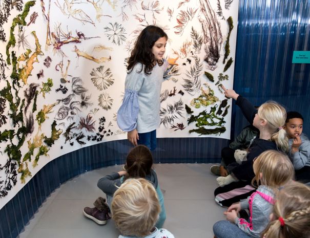 Et barn står foran en væg med botaniske illustrationer og fortæller de andre børn om noget på væggen. De andre børn sidder på gulvet og lytter opmærksomt.