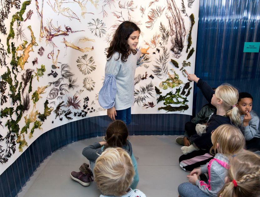 Et barn står foran en væg med botaniske illustrationer og fortæller de andre børn om noget på væggen. De andre børn sidder på gulvet og lytter opmærksomt.