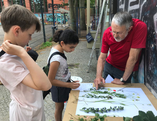 En ældre person peger på botaniske prøver på et bord, mens to børn observerer og tager noter. Der er graffiti på væggen og træer i baggrunden.
