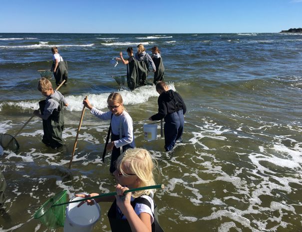 En gruppe børn står i lavt havvand iført waders og holder net og spande. Himlen er klar og blå, hvilket indikerer en solskinsdag.