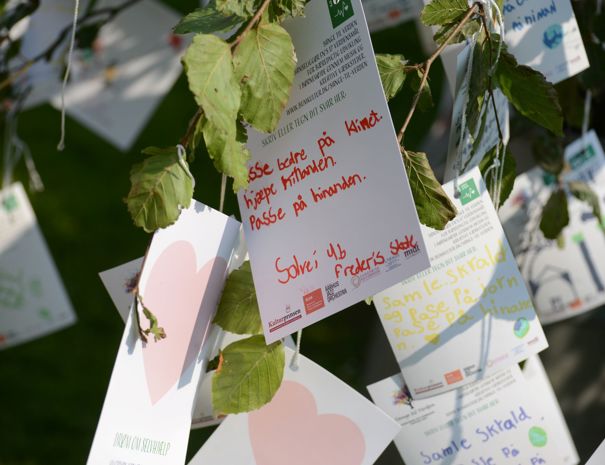 Postkort med håndskrevne beskeder fastgjort til en gren i et træ. Nogle af kortene har trykte designs som hjerter.
