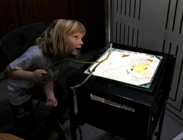 Et barn står ved en projektor og kigger op på væggen. Der ligger grene og blade på projektoren. Rummet er mørkt og projektoren lyser op. 